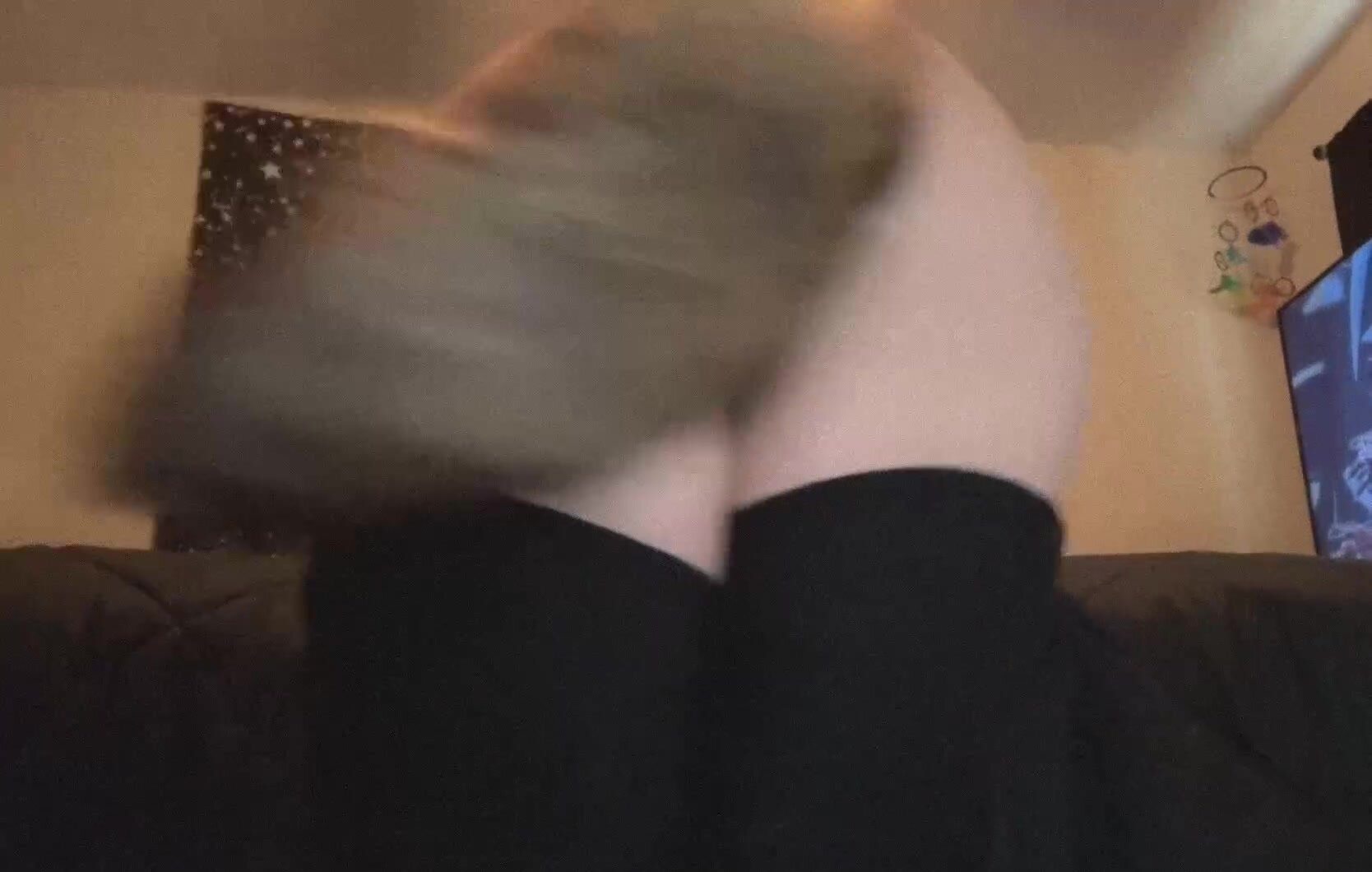 I love shaking my tail for you