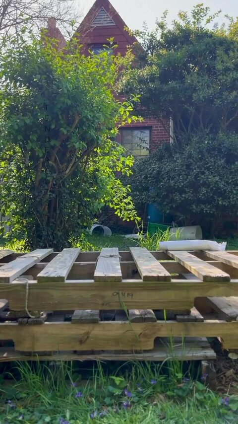 a beautiful sunny day pee ☀️