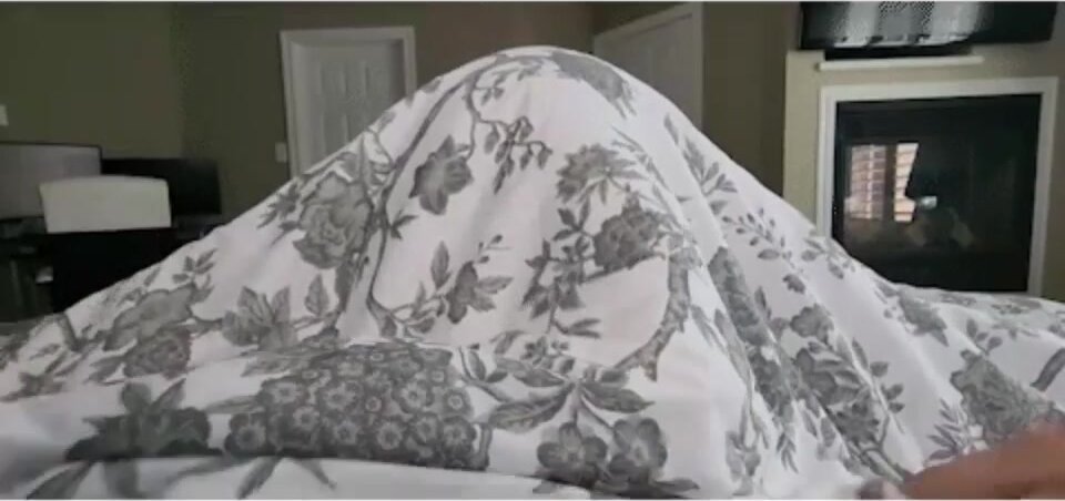 my main passion in life is sucking new dick