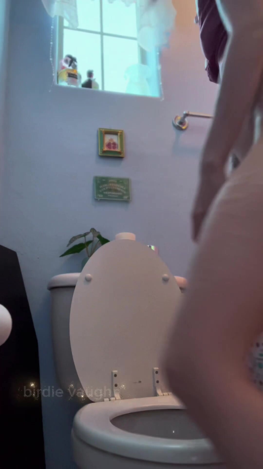 Looking for a lap to pee on, any volunteers?