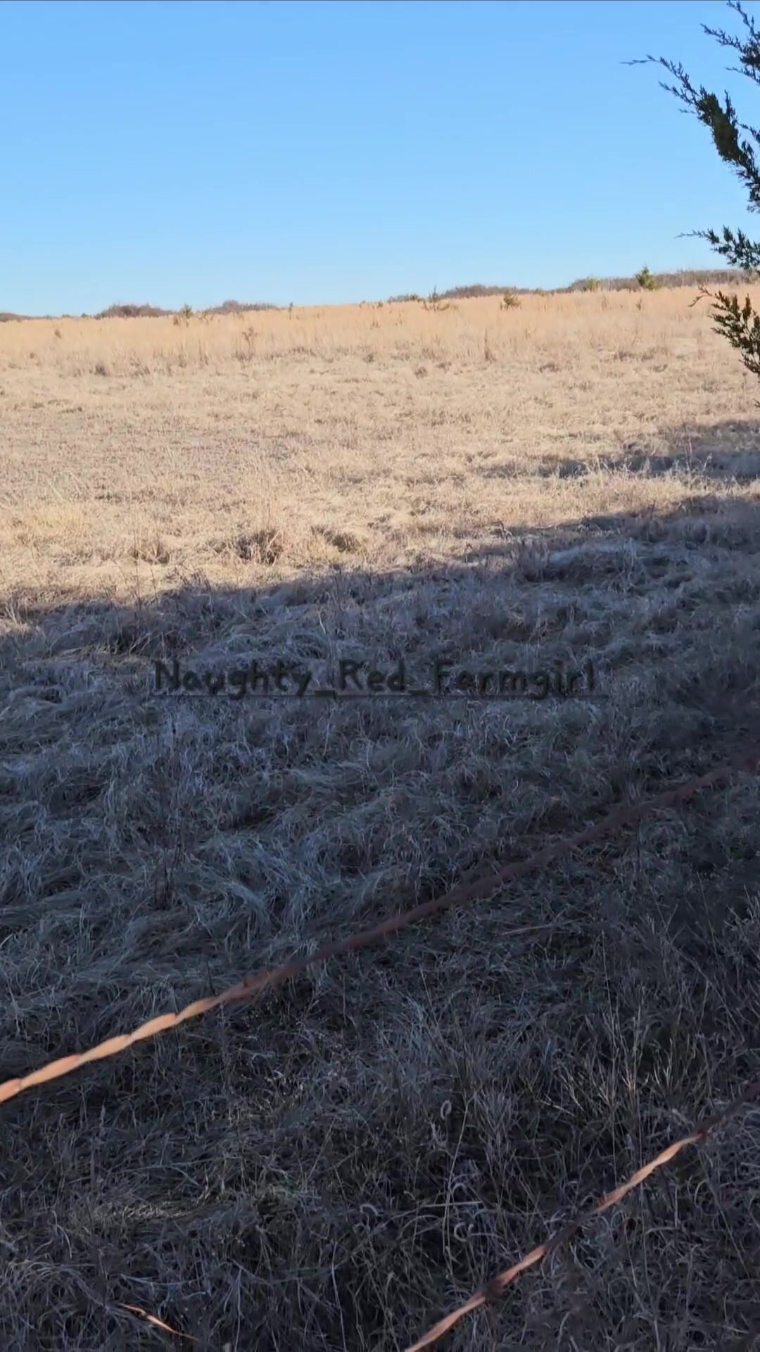 I'll never get tired of his dick in my mouth...