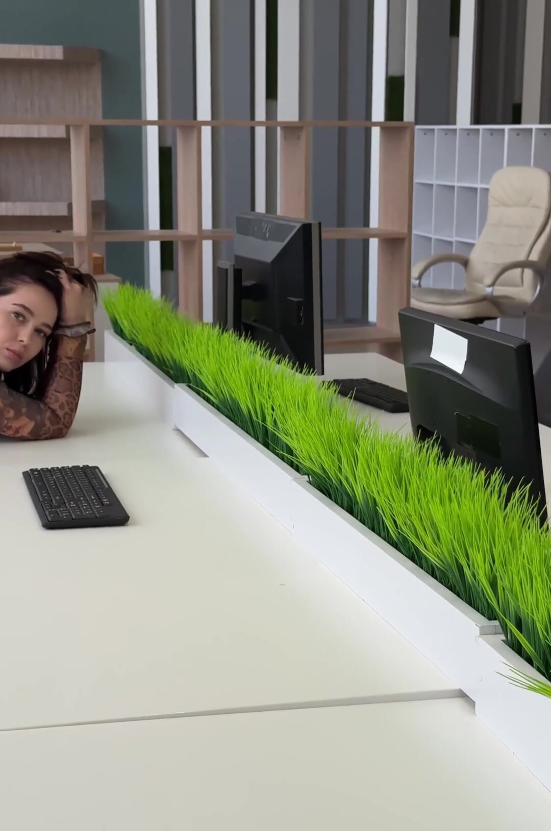 I’m sorry boss I was stupid