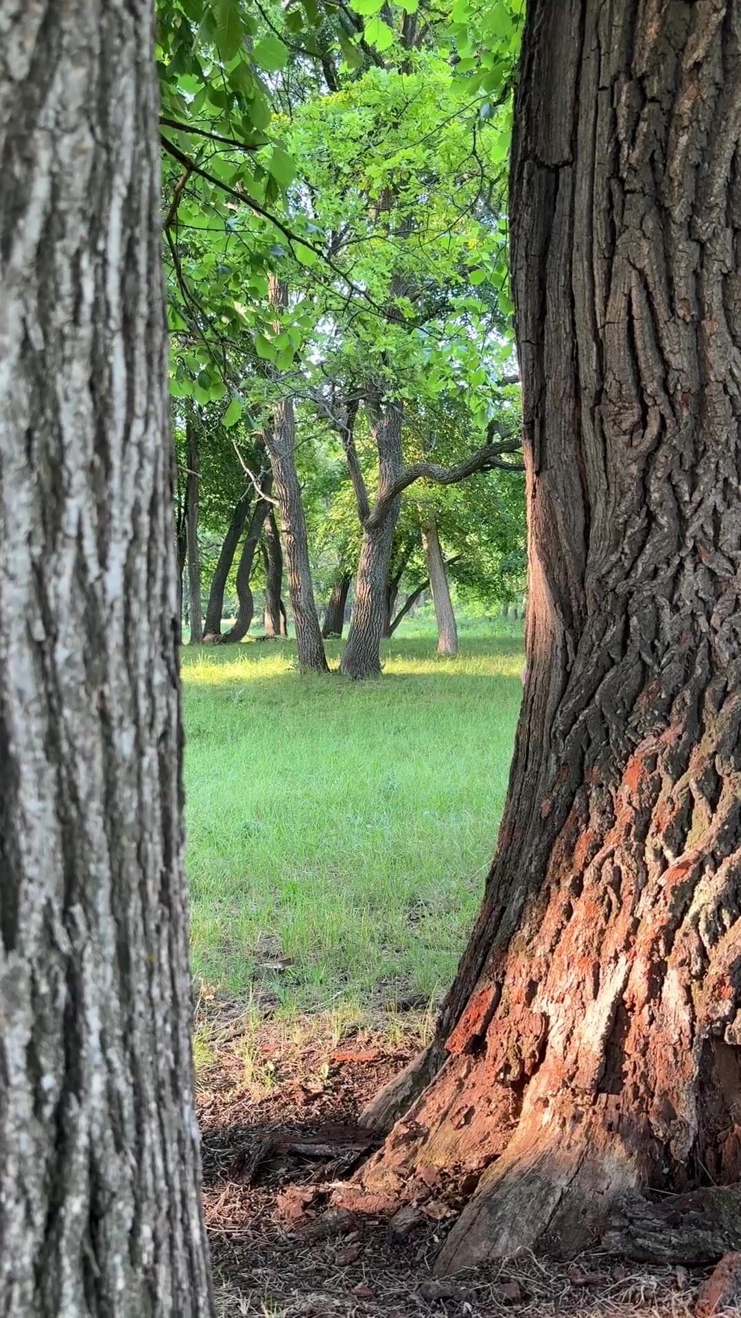 Public pee videos.. Hot or no?