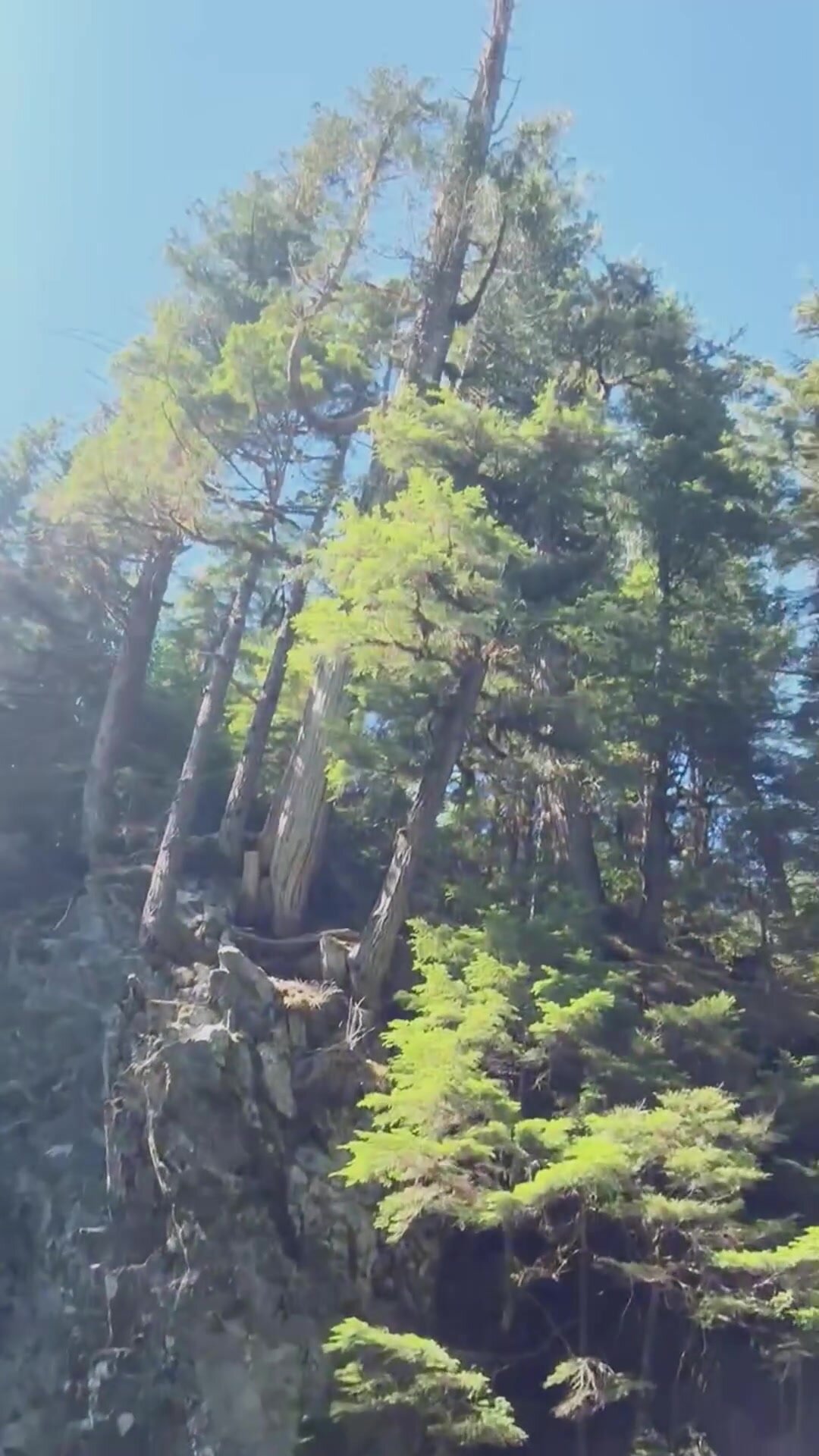 Would you like to go for a hike with me and maybe some more exercise at home