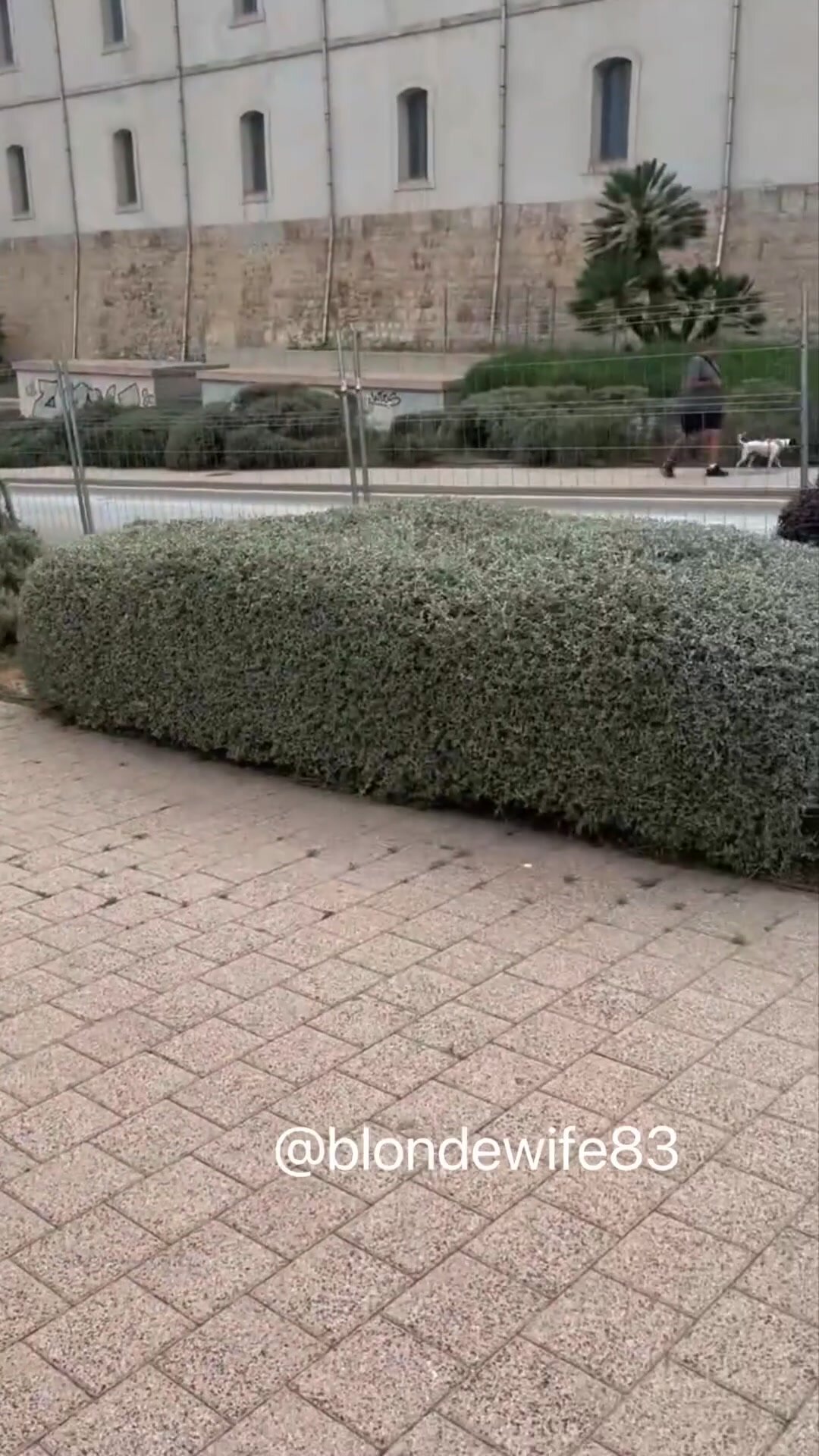 He really wanted to take a pic I wish I let him play with them