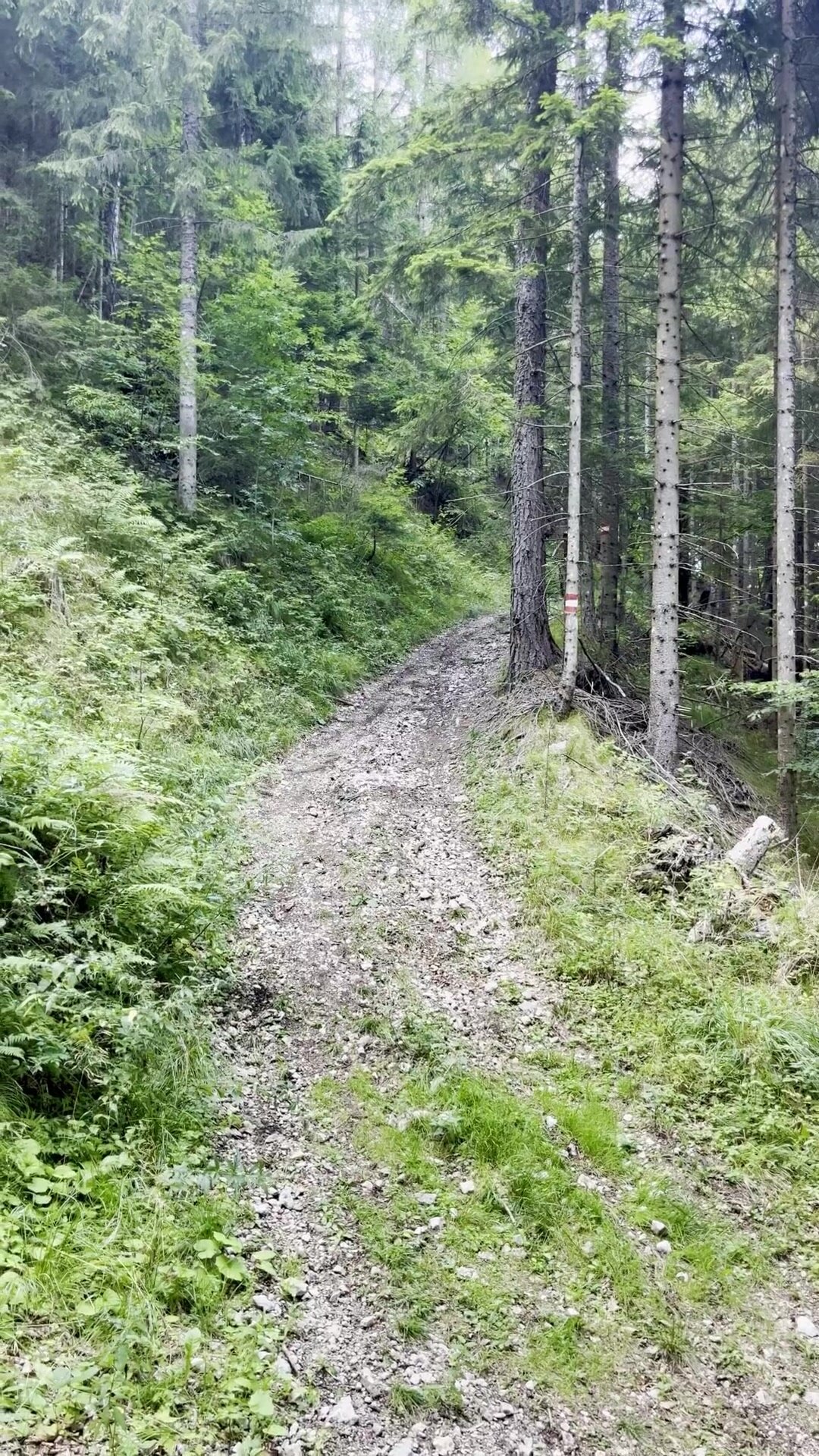 I got dared to bike topless for the whole downhill trail