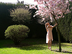 Dazzling Angel Piaff meets her lover under blossoming cherry tree