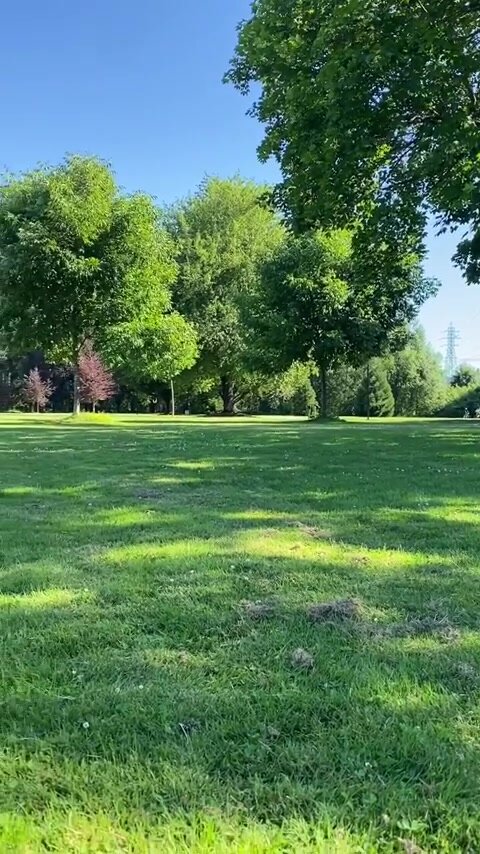 beautiful day to play at the park