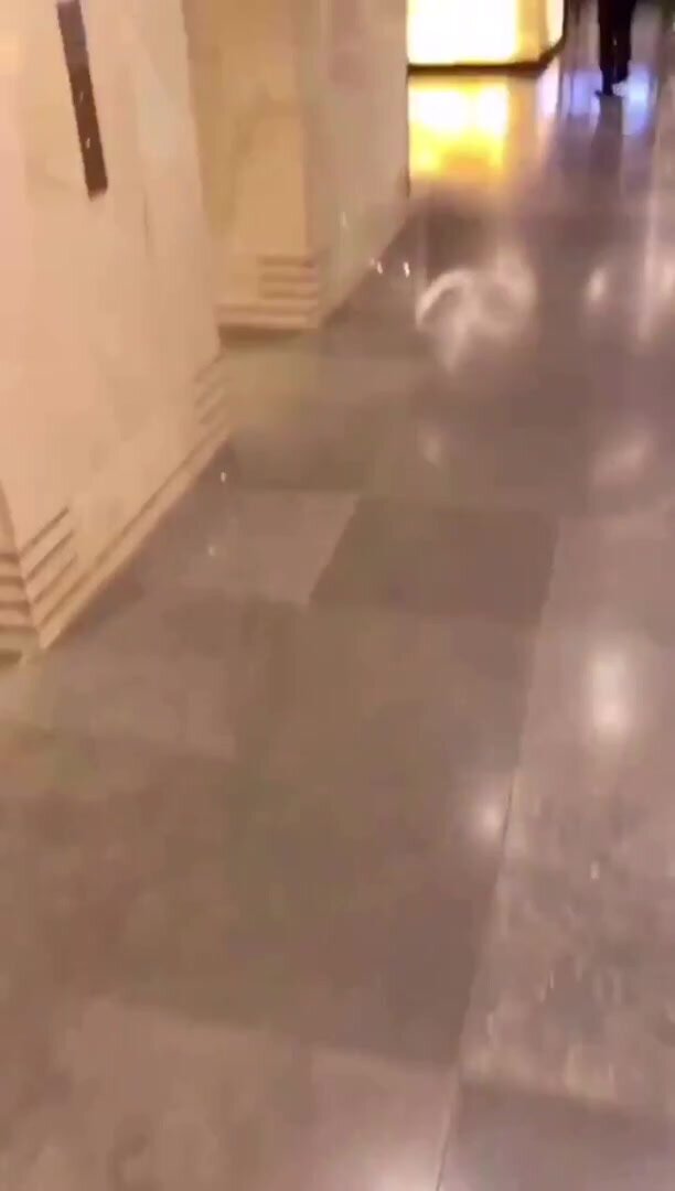 She straponed him in a public toilet