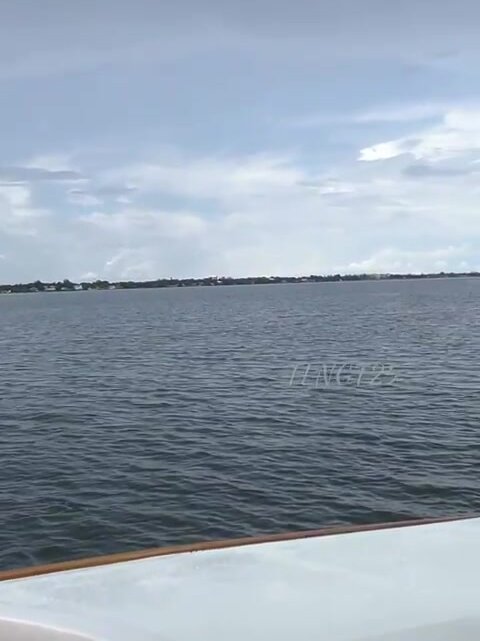Smooth Sailing