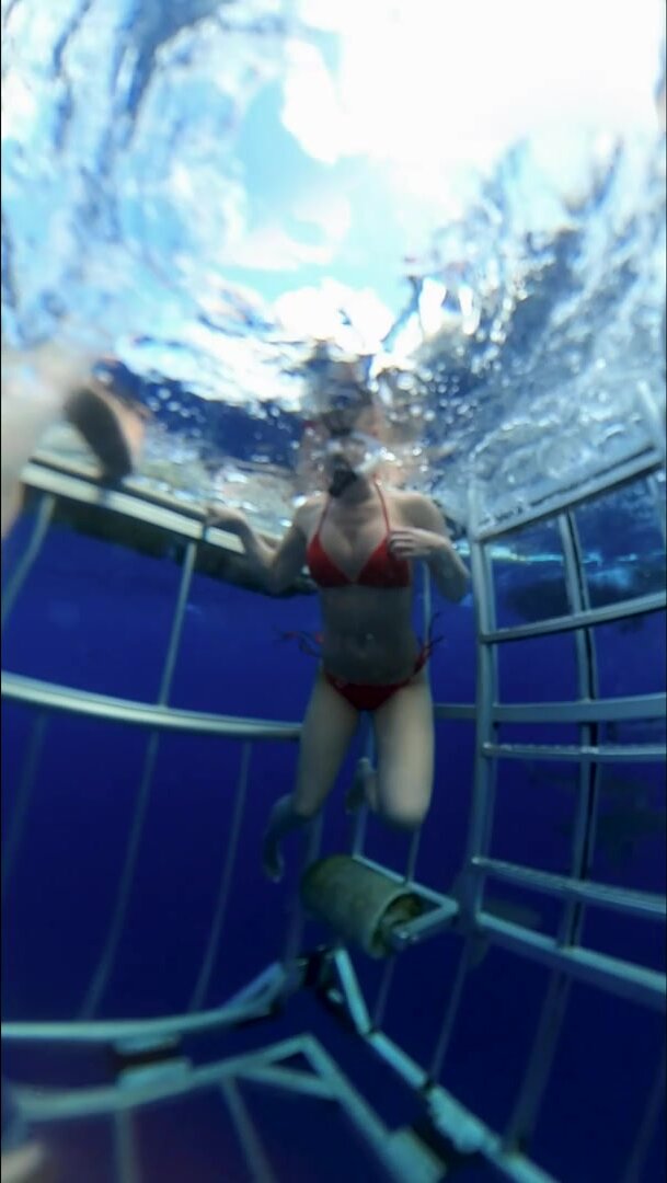 Have you ever seen a girl flash in a shark cage?